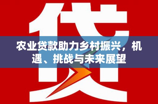 称多农业贷款助力乡村振兴，机遇、挑战与未来展望