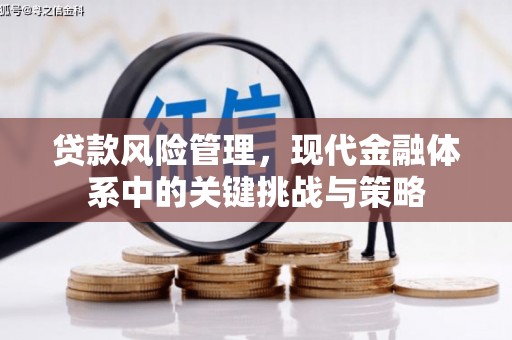 称多贷款风险管理，现代金融体系中的关键挑战与策略