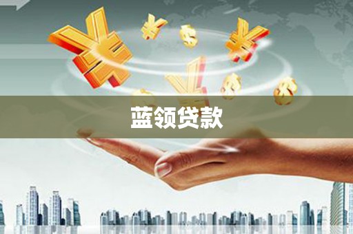 称多蓝领贷款