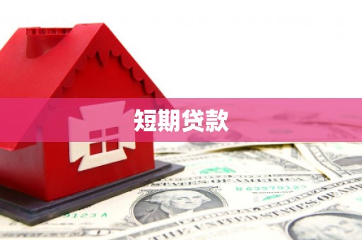 称多短期贷款