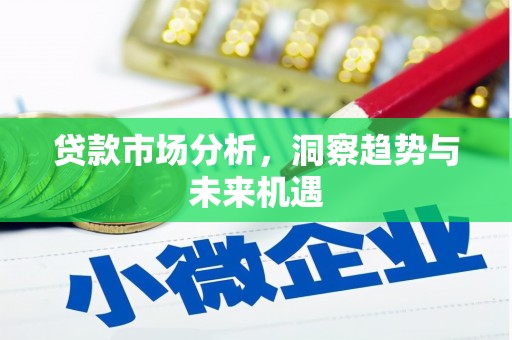 称多贷款市场分析，洞察趋势与未来机遇