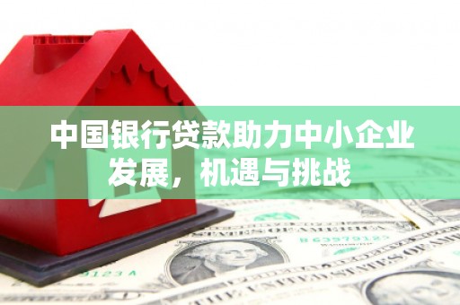 称多中国银行贷款助力中小企业发展，机遇与挑战
