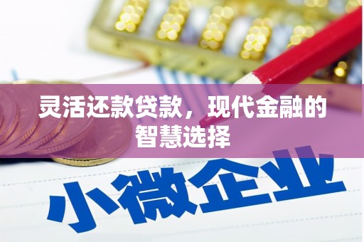 称多灵活还款贷款，现代金融的智慧选择