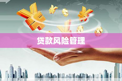 称多贷款风险管理