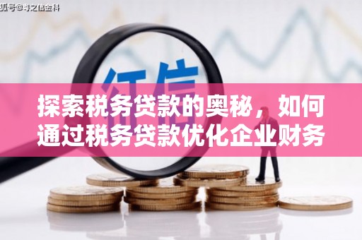 称多探索税务贷款的奥秘，如何通过税务贷款优化企业财务