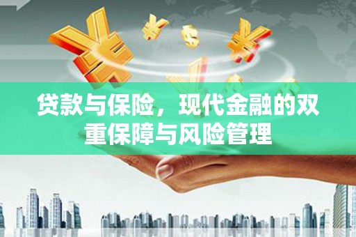 称多贷款与保险，现代金融的双重保障与风险管理