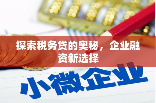 称多探索税务贷的奥秘，企业融资新选择