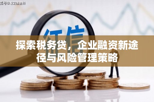 称多探索税务贷，企业融资新途径与风险管理策略
