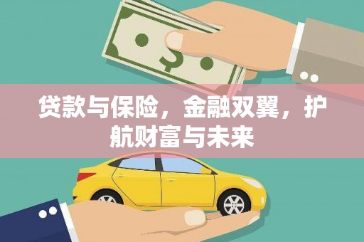 称多贷款与保险，金融双翼，护航财富与未来