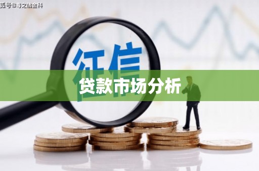 称多贷款市场分析