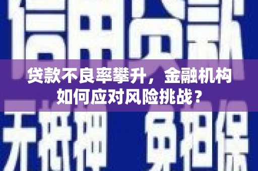 称多贷款不良率攀升，金融机构如何应对风险挑战？