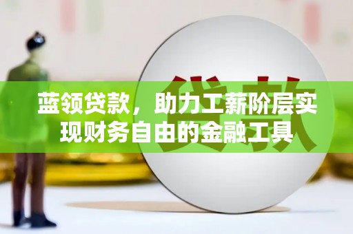称多蓝领贷款，助力工薪阶层实现财务自由的金融工具