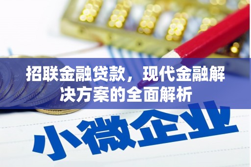 称多招联金融贷款，现代金融解决方案的全面解析