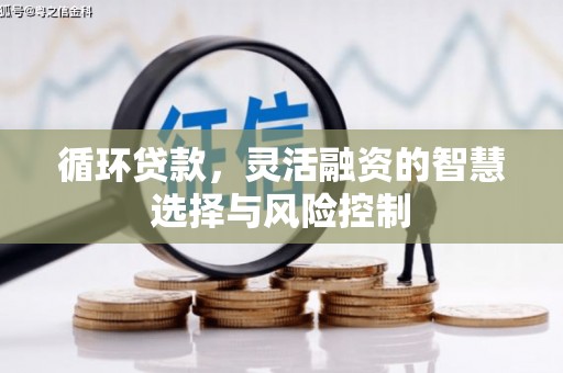 称多循环贷款，灵活融资的智慧选择与风险控制