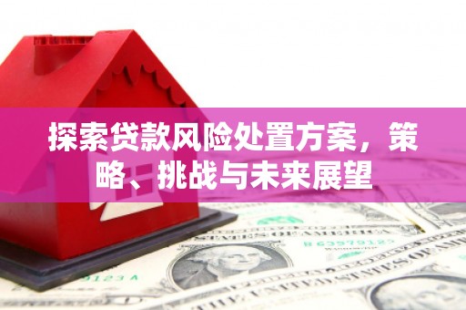 称多探索贷款风险处置方案，策略、挑战与未来展望