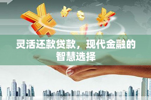 称多灵活还款贷款，现代金融的智慧选择