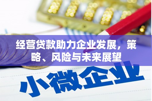 称多经营贷款助力企业发展，策略、风险与未来展望