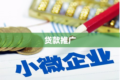 称多贷款推广