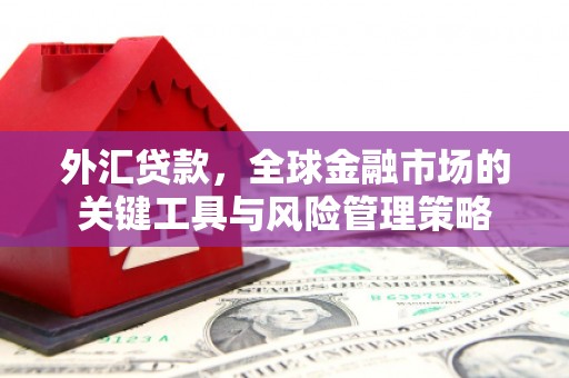 称多外汇贷款，全球金融市场的关键工具与风险管理策略