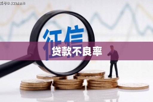 称多贷款不良率