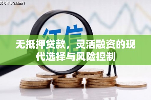 称多无抵押贷款，灵活融资的现代选择与风险控制