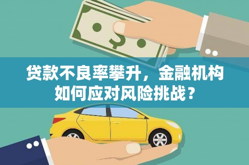 称多贷款不良率攀升，金融机构如何应对风险挑战？