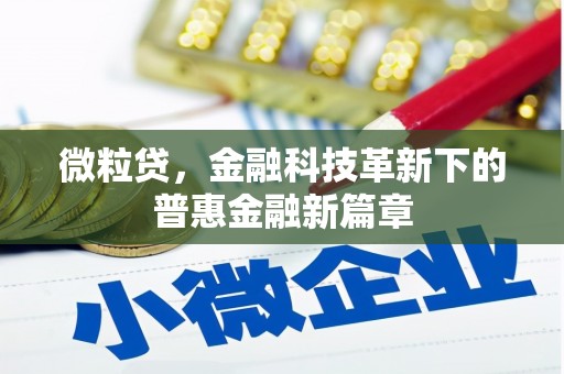 称多微粒贷，金融科技革新下的普惠金融新篇章