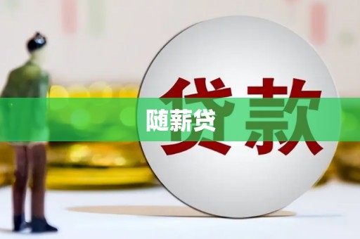 称多随薪贷