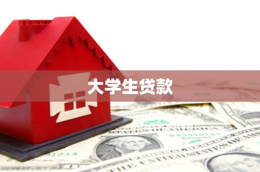 称多大学生贷款