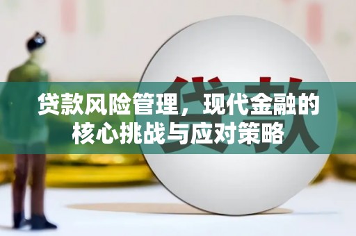称多贷款风险管理，现代金融的核心挑战与应对策略