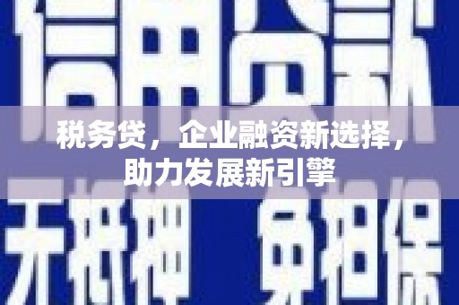 称多税务贷，企业融资新选择，助力发展新引擎