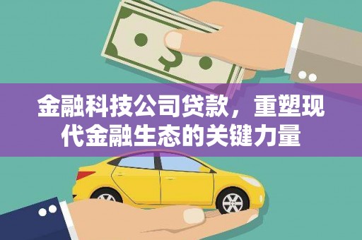 称多金融科技公司贷款，重塑现代金融生态的关键力量