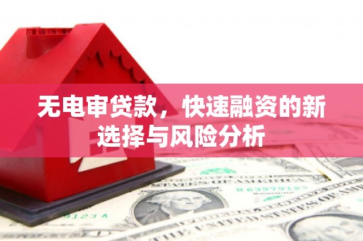 称多无电审贷款，快速融资的新选择与风险分析