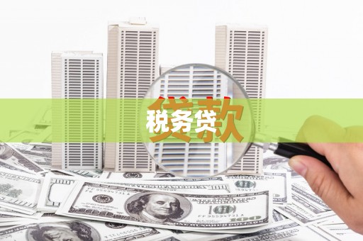 称多税务贷