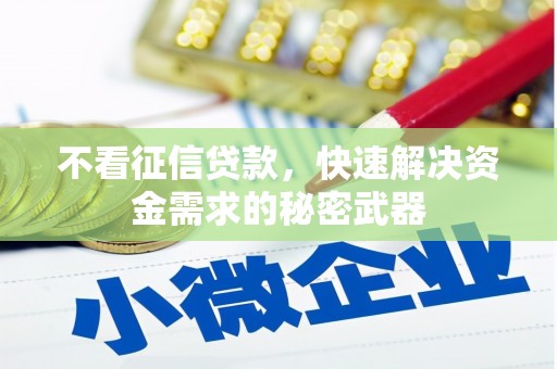 称多不看征信贷款，快速解决资金需求的秘密武器
