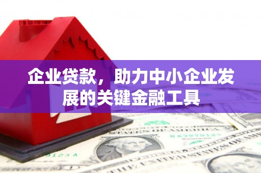 称多企业贷款，助力中小企业发展的关键金融工具