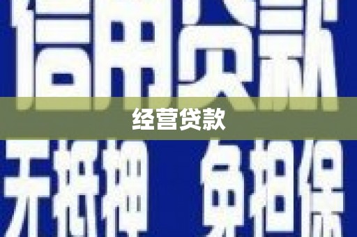 称多经营贷款