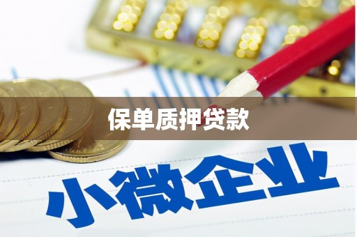 称多保单质押贷款