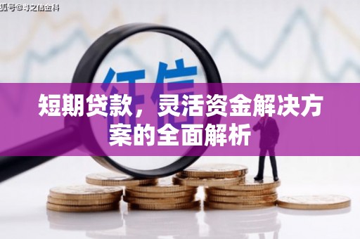 称多短期贷款，灵活资金解决方案的全面解析