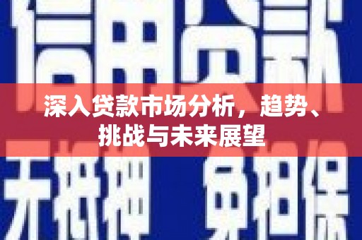 称多深入贷款市场分析，趋势、挑战与未来展望