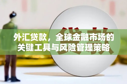 称多外汇贷款，全球金融市场的关键工具与风险管理策略