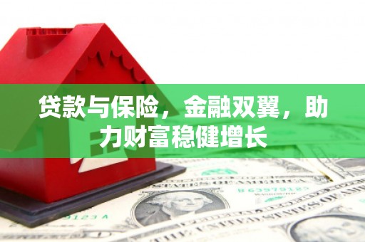 称多贷款与保险，金融双翼，助力财富稳健增长