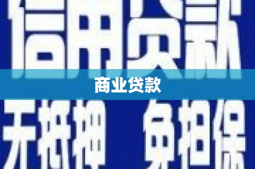 称多商业贷款