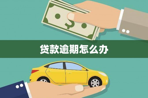 称多贷款逾期怎么办
