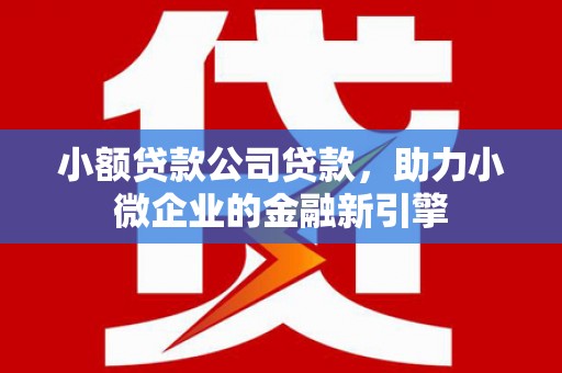 称多小额贷款公司贷款，助力小微企业的金融新引擎