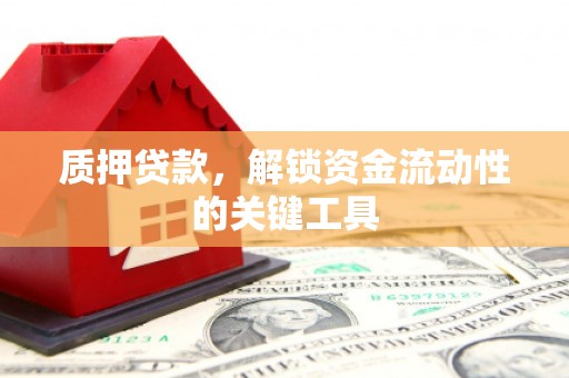 称多质押贷款，解锁资金流动性的关键工具