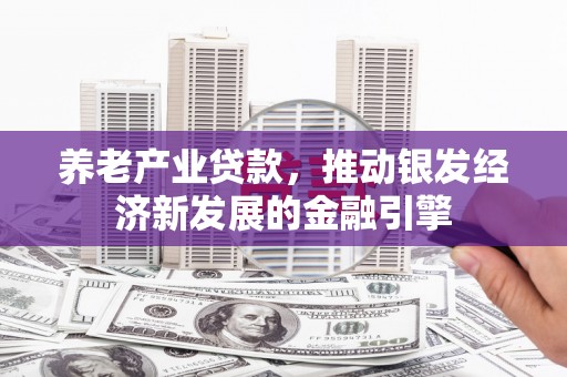 称多养老产业贷款，推动银发经济新发展的金融引擎