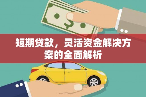 称多短期贷款，灵活资金解决方案的全面解析