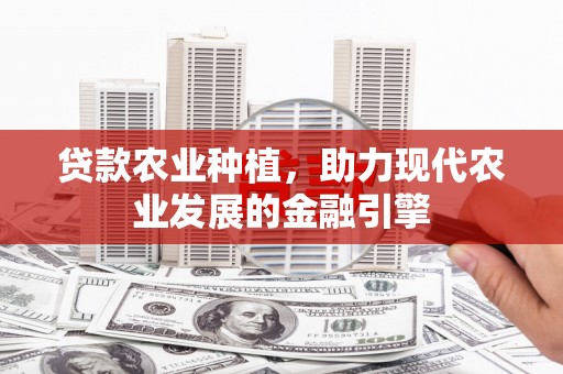 称多贷款农业种植，助力现代农业发展的金融引擎