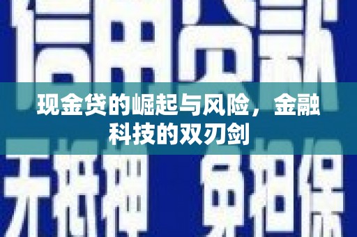 称多现金贷的崛起与风险，金融科技的双刃剑